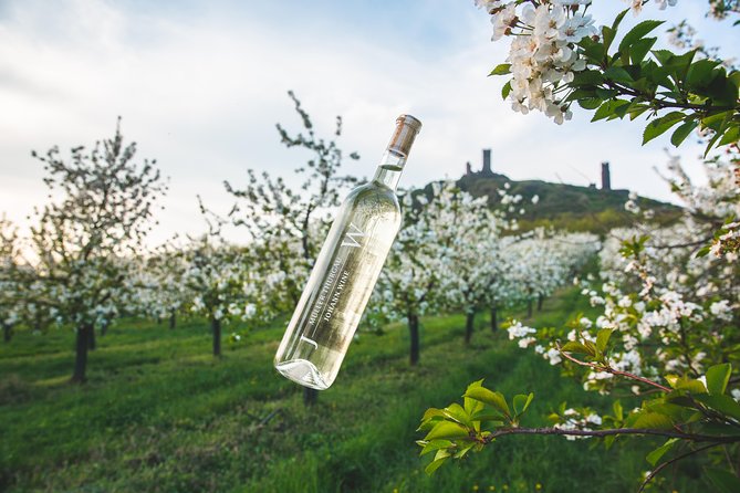 A delightful wine tasting in the scenic countryside with lunch - The one-hour ride from Prague
