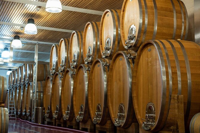 A delightful wine tasting in the scenic countryside with lunch - A lunch that connects the wine to local life