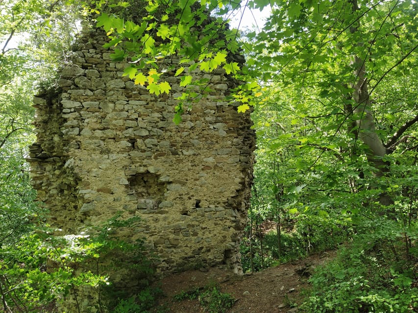 Beyond Brno: Secrets of Moravian Nature - Half-Day Tour - Key points at a glance