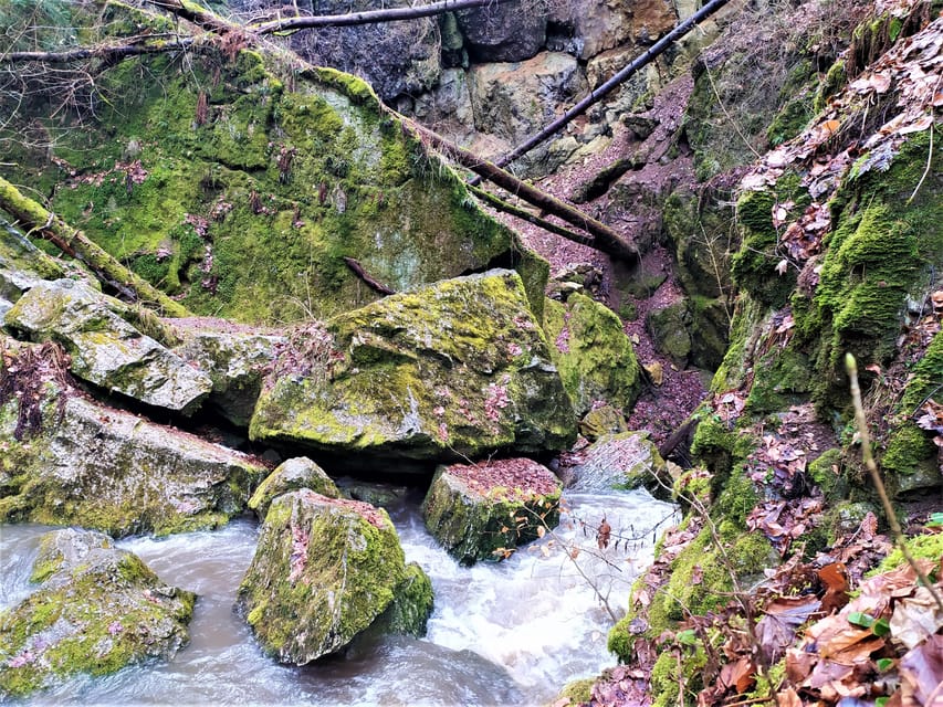 Beyond Brno: Secrets of Moravian Nature - Half-Day Tour - Hladomorna Cave and the prison beneath Holštejn