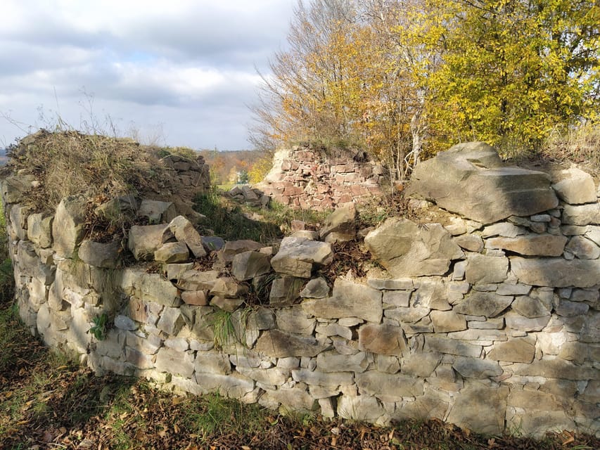 Beyond Brno: Secrets of Moravian Nature - Half-Day Tour - Private transportation and a small-group pace