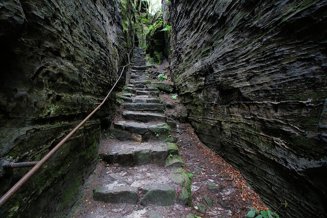 Bohemian Switzerland From Prague with Brewery Tour & Beer Tasting - Who Will Enjoy This Best?