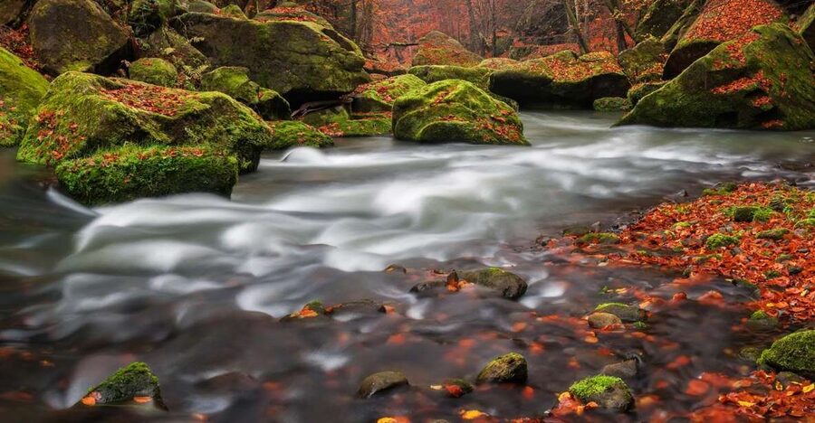 Bohemian Switzerland: Private Day Trip from Prague - A short river cruise through the ravines