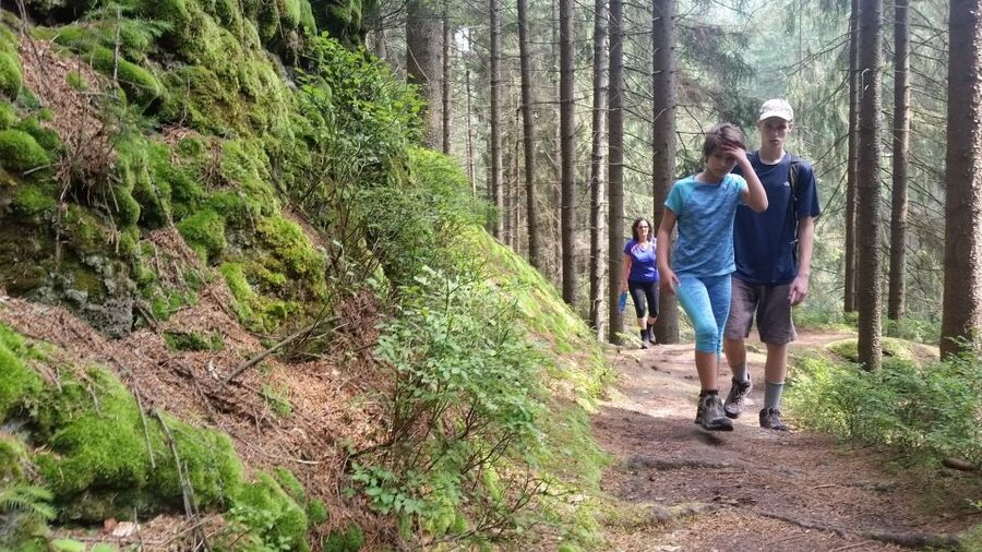 Bohemian Switzerland: Private Day Trip from Prague - Walking among sandstone towers and pine forests