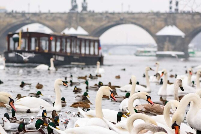 Charles Bridge: River Boat Cruise & Guided Tour ️with PragueWay - Kampa Island, mills, and a quieter side of Prague