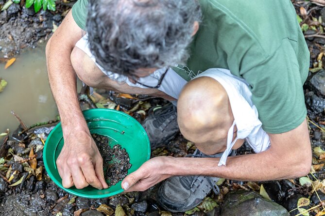 Countryside, Czech Garnet Panning, Farm,Lunch&Beer 4WD Adventure - A farm visit with goats and homemade food
