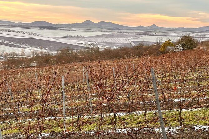 Cozy Winter Countryside Tour 4x4: Experience Authentic Bohemia - Other choices you can add to the day