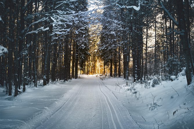 Cross-Country Skiing Guided Tour From Prague - Lunch in Liberec and what is included