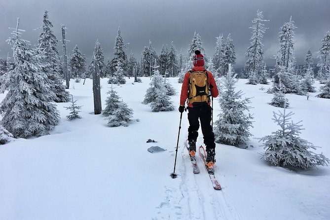 Cross-Country Skiing Guided Tour From Prague - Is $313 a fair price?