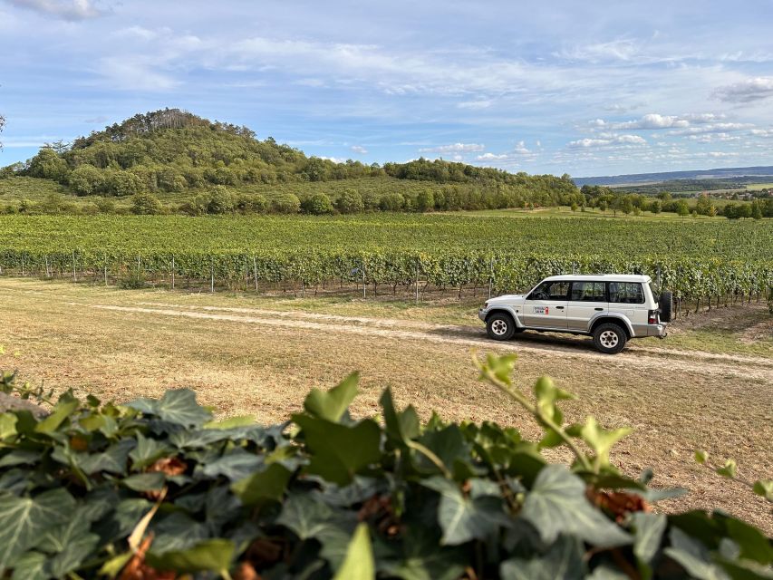 Czech Vineyards and Wine Tasting 4WD Tour with Lunch - Vineyards, volcanic hills, and five Gothic castles