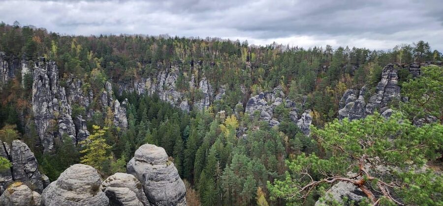 Day trip from Prague to Bohemian and Saxon Switzerland - The guide and the small-group format