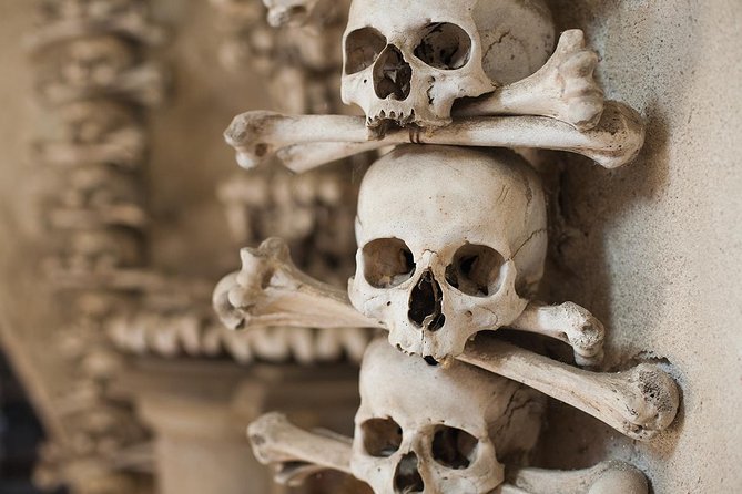 Day Trip to Kutná Hora by train from Prague - The train and local connections