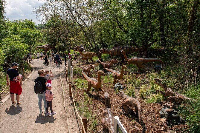 Dinosaurus amusement park - best dino experience in Prague - Playgrounds and jumping areas for younger children