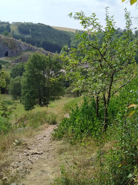 Discover Moravian Karst: Seven Stops, One Tailored Tour - Caves: the cool, dramatic center of the day