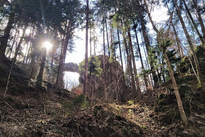 Discover Near Brno: Best Czech Caves & Karst Full-Day tour - Macocha Abyss: the day’s great first view