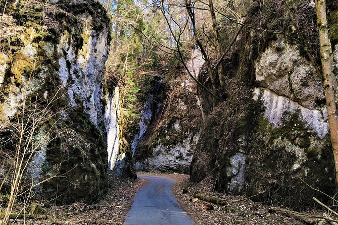 Discover Near Brno: Best Czech Caves & Karst Full-Day tour - Blansek Castle ruins above Pustý Žleb