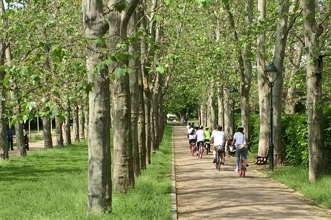 FAT TIRE E-BIKE GREAT TOUR - river, parks & panoramic views tour - Key details at a glance