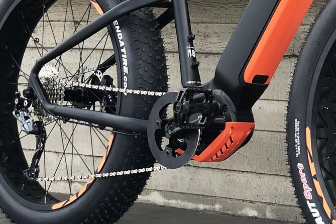 FAT TIRE E-BIKE GREAT TOUR - river, parks & panoramic views tour - The guides make the difference