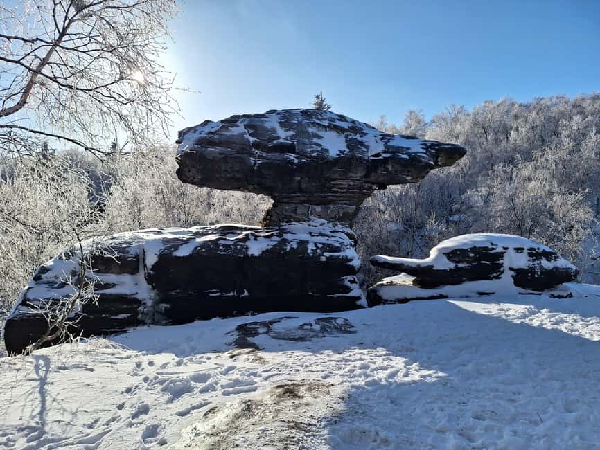 From Dresden: Bastei Bridge & Bohemian Switzerland Day Trip - Kamenice Gorge and the boat ride