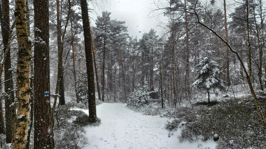 From Prague: Bohemian Paradise - Full-Day Hiking Trip - Falcon Heights and the first big views