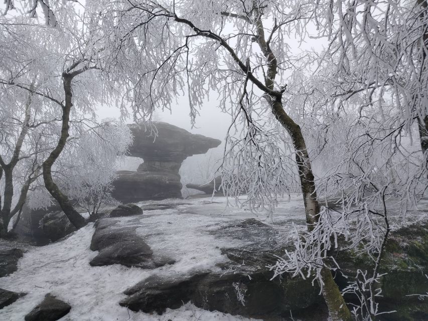 From Prague: Bohemian & Saxon Switzerland Iconic Day Trip - The seasonal difference matters