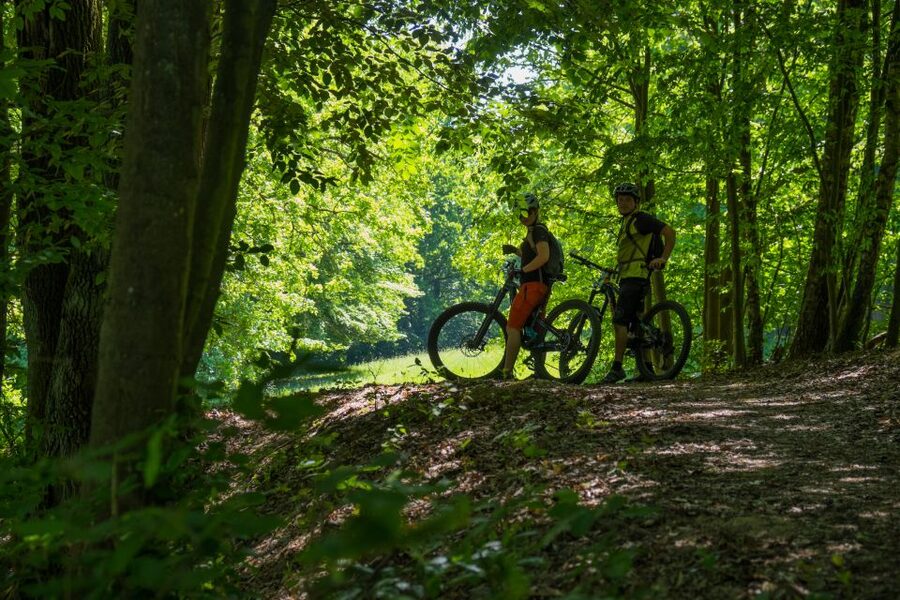 From Prague: E-Mountain Biking Trip to the Bohemian Paradise - Sandstone gorges shaped by an ancient sea