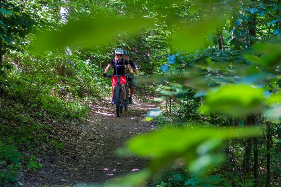 From Prague: E-Mountain Biking Trip to the Bohemian Paradise - Why the small group matters