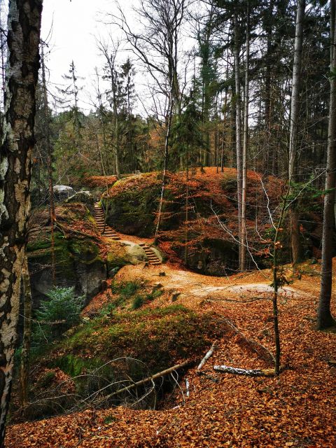 From Prague: Full-Day Bohemian Paradise Guided Hiking Trip - Hruboskalsko Rock City Is the Main Event