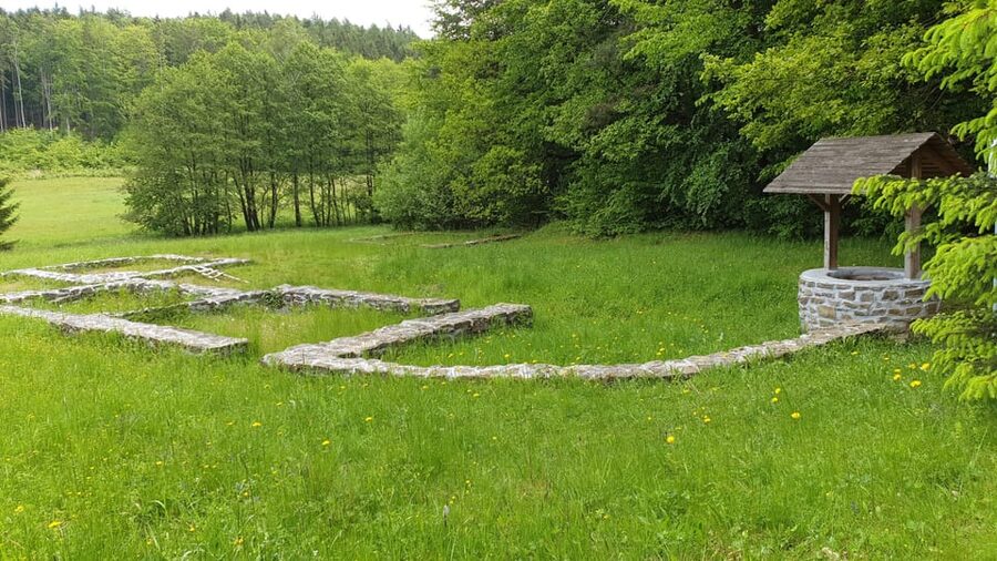 Get to know South Moravia with us. 6 hour tour. - Timing, transport, and walking