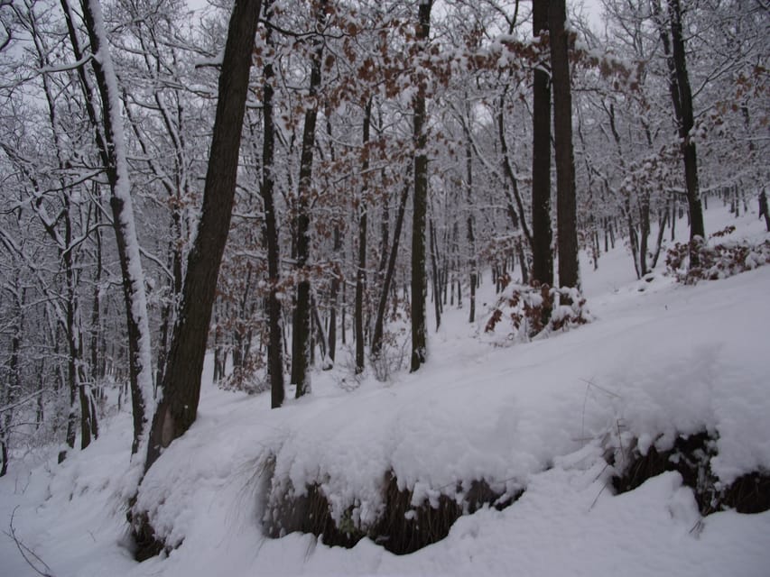 Get to know South Moravia with us. 6 hour tour. - Is $132 a fair price?