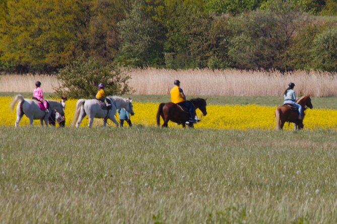 horseback riding tour in Prague - Leaving Prague for Mníšek pod Brdy