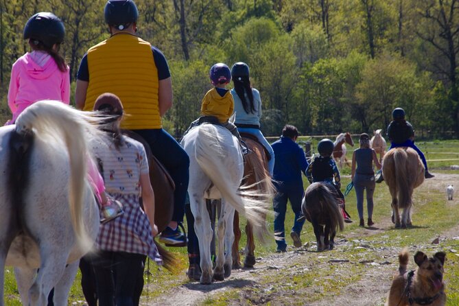 horseback riding tour in Prague - Is $104.11 a fair price?