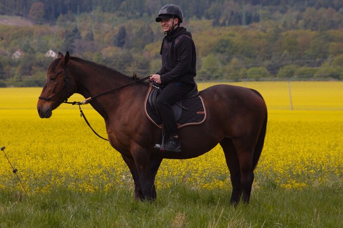 horseback riding tour in Prague - Meeting the horses from famous films