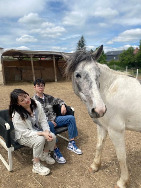 Horseback riding tour near Prague - A 50 to 75 minute walk through Mníšek pod Brdy