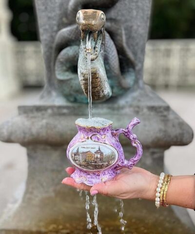 Mineral Hot Springs Tasting and Walking Tour