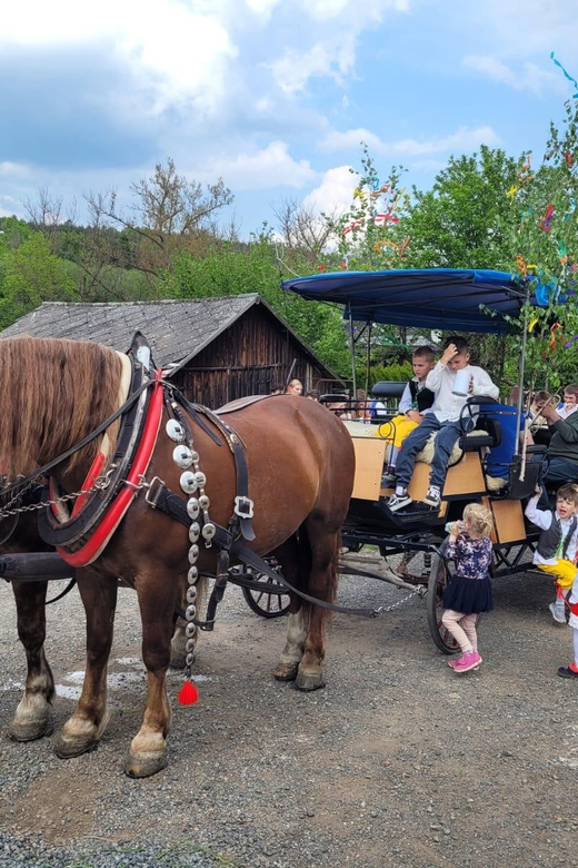 Karlštejn castle by horse carriage - Important limits before you book
