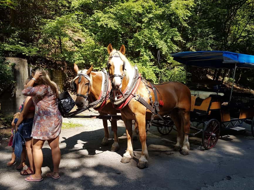 Karlštejn castle by horse carriage - Should you book the Karlštejn carriage ride?