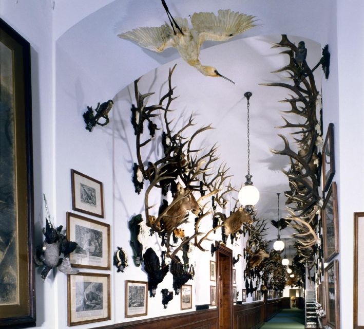 Konopiště: Chateau Tour from Prague - The Guide and Audio System: The Important Catch