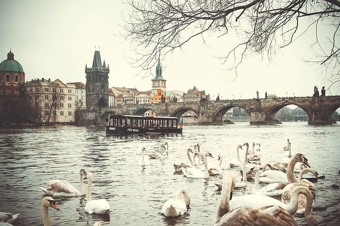 Magical Prague Private Half-Day Tour - Old Town in 40 minutes: Prague’s essential first chapter