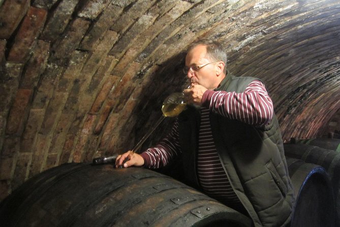 Moravian wine trails - Starting from Brno with a small group
