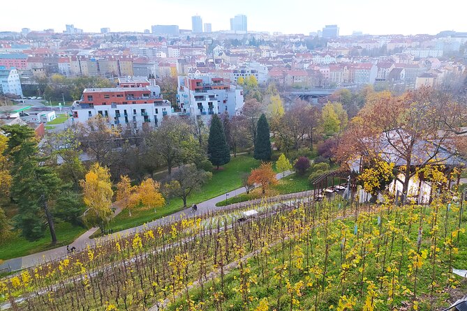Non-touristy Prague - Cozy Neighborhoods - Private Tour - Grébovka: vineyards inside a city park