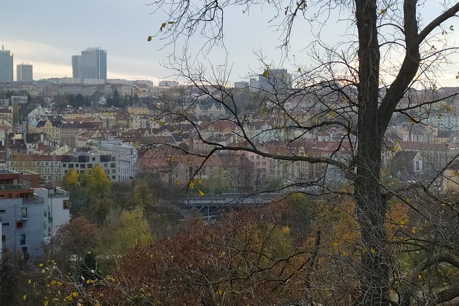 Non-touristy Prague - Cozy Neighborhoods - Private Tour - The southern city walk: squares, ruins, and free speech