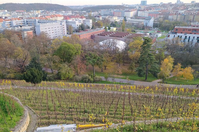 Non-touristy Prague - Cozy Neighborhoods - Private Tour - Public transportation is part of the local view
