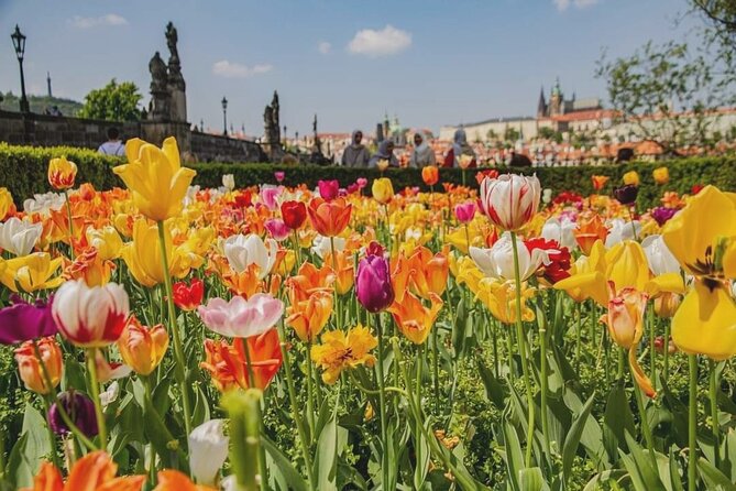 Photogenic Prague 6 hours tour by Car - A practical first day in Prague by private vehicle