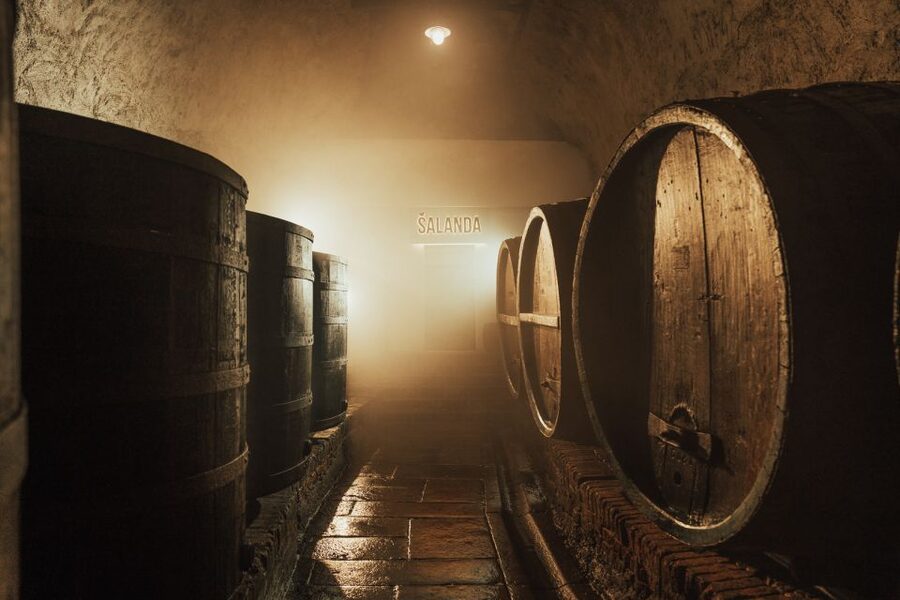 Pilsen: Pilsner Urquell Brewery Tour with Beer Tasting - Is $21 good value?