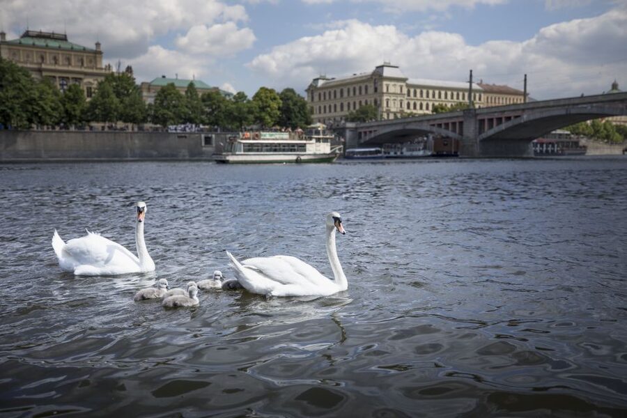 Prague: 3–Hour Castle Grounds Walking Tour and River Cruise - What the $56 price really buys you