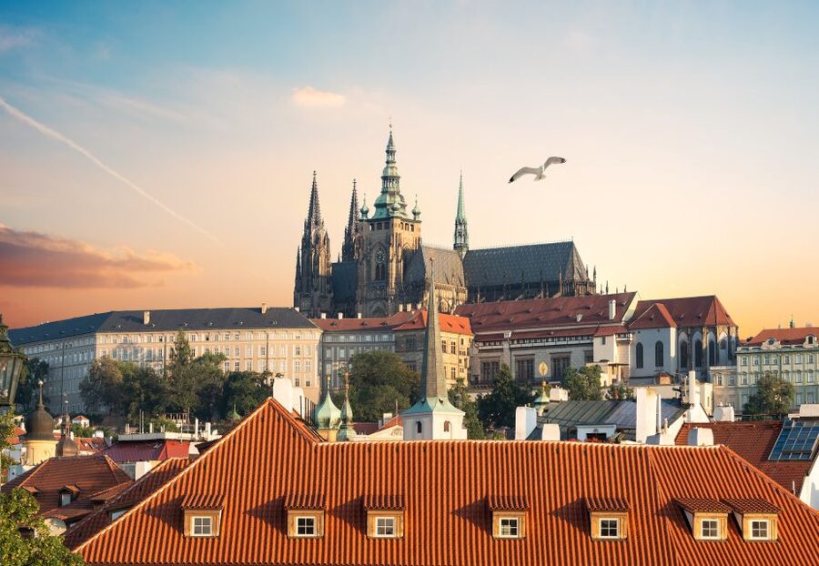 Prague: 3h Private Tour of Prague Castle, Admission Incl. - Old Royal Palace and stories from the court