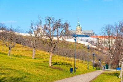4-Hour Segway and Scooter Tour with Lunch and Drinks