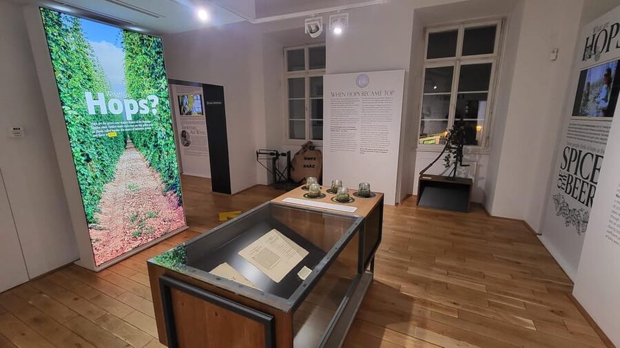 Prague: Beer Museum Tour with Tasting and Beer Bottling - Who will enjoy this Prague beer museum?