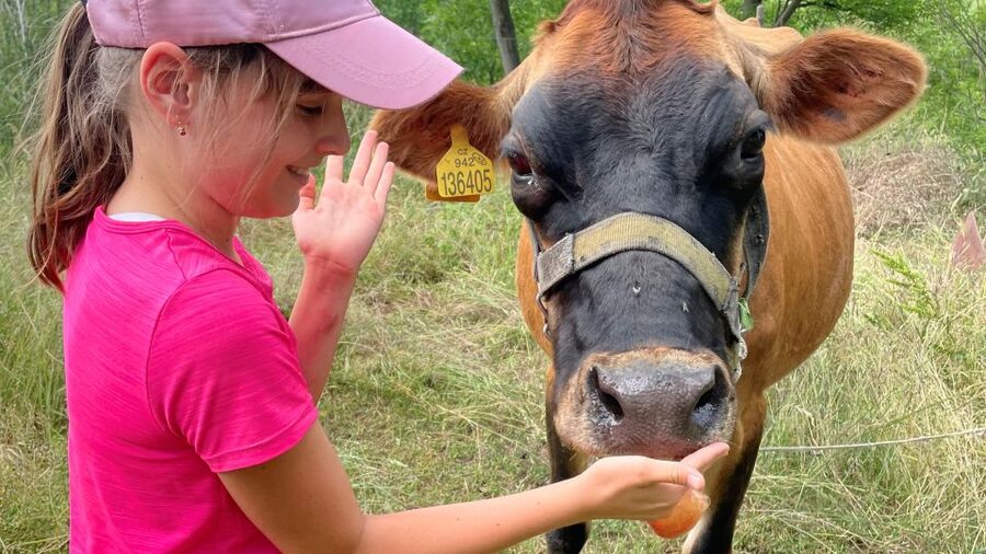 Prague: Bohemian Uplands Garnet Panning&Animal Farm 4WD Tour - A rural Czech lunch around 2 PM